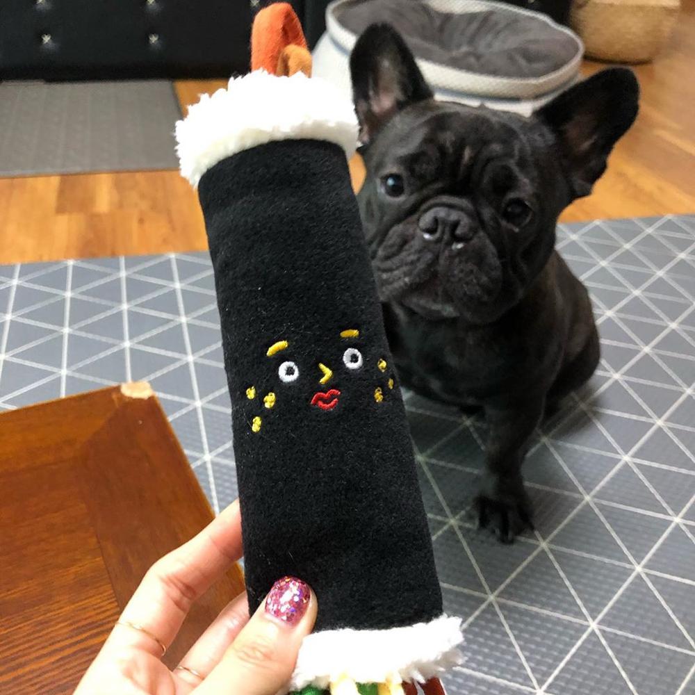 Voice Sushi Roll Pet Toy